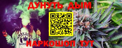 шишки Камышлов