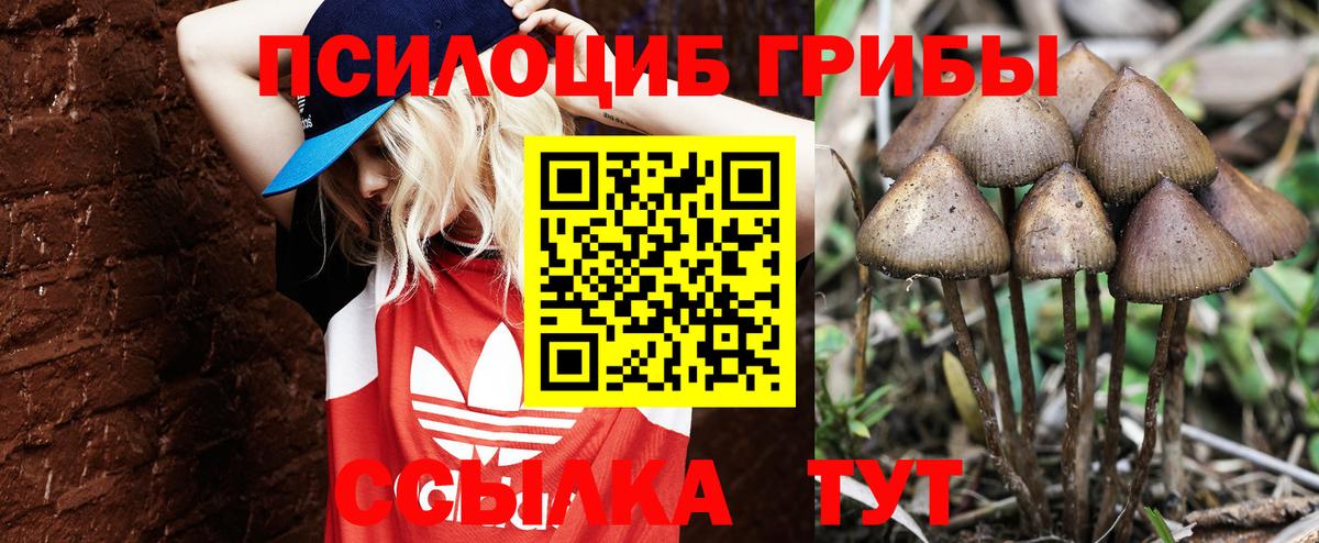 Псилоцибиновые грибы мухоморы Кудрово