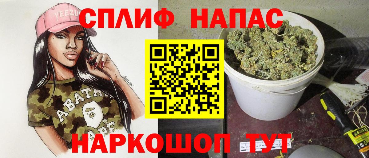 Бошки марихуана планчик  Бошки Шишки конопля  Марихуана сатива  Вход с VPN  Кудрово 